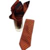 Stecktuch & Krawatte Raul orange