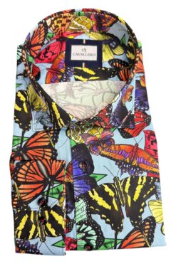 Hemd Cavallero blau-orange